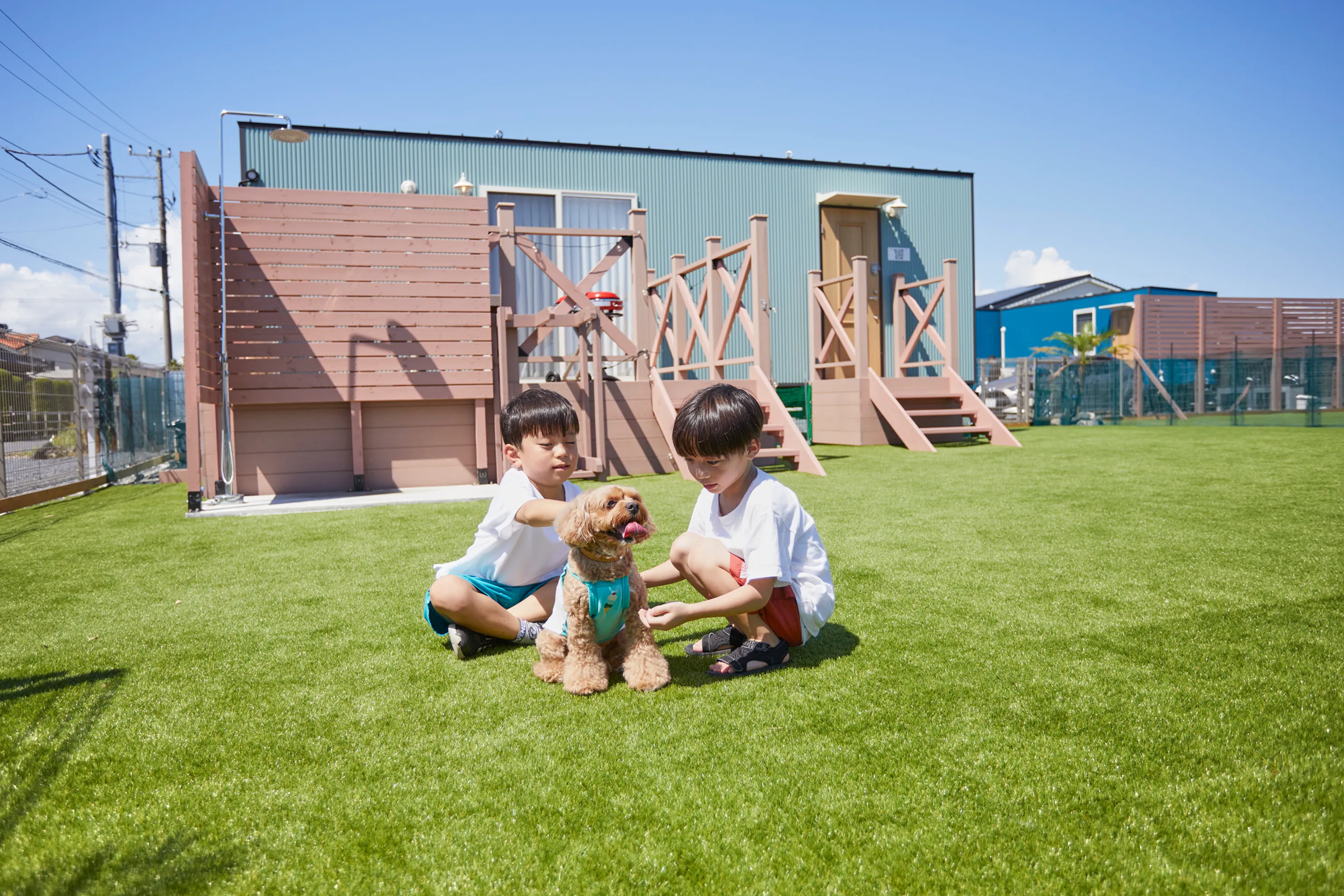芝生の上で愛犬と遊ぶ子どもたち