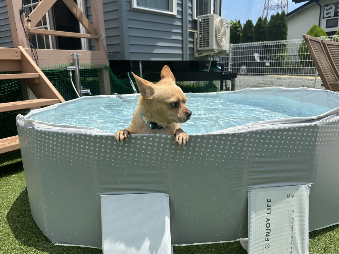 折り畳み式プールを設置しました！