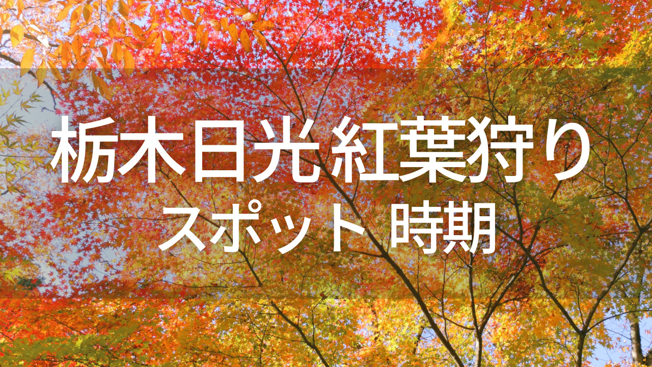 栃木県日光市の紅葉狩りスポットと見頃の時期まとめ