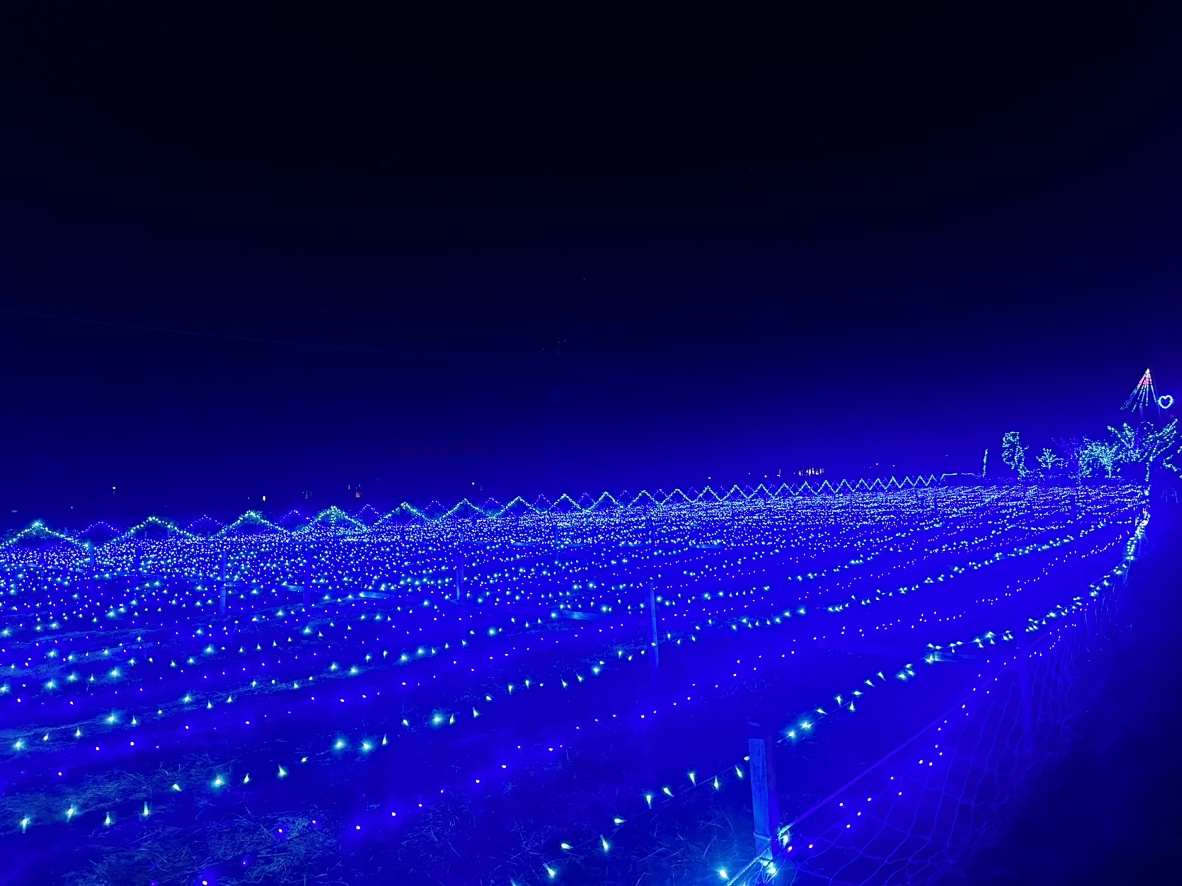 【日光】SL大樹★イルミネーション特別運行