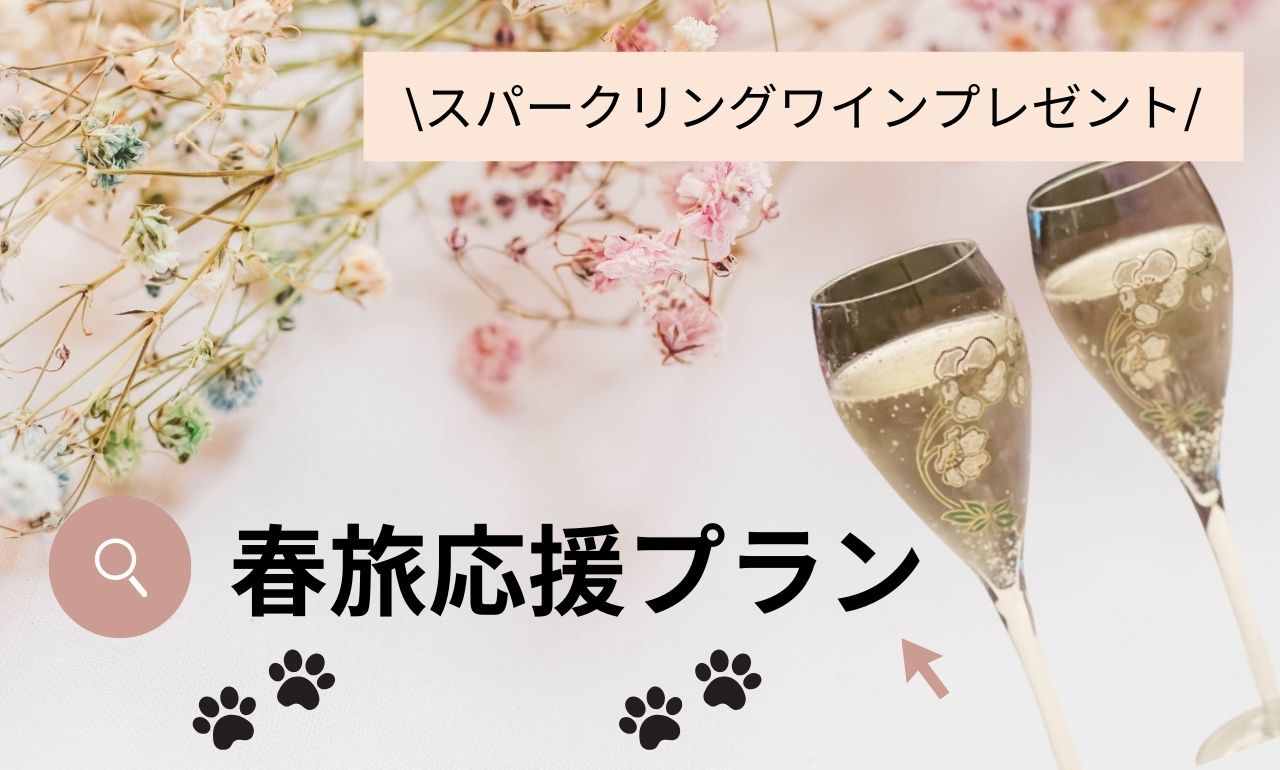 春旅応援プランでスパークリングワインプレゼント🍾