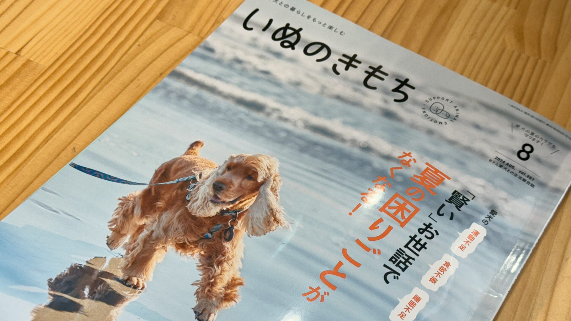 いぬのきもち 2024年８月号に掲載されました