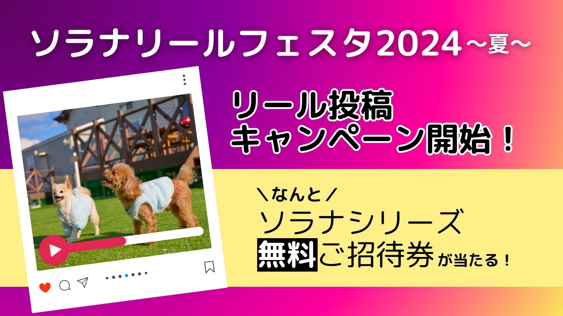 「ソラナリールフェスタ2024 ～夏～」開催！