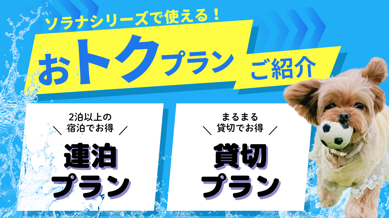 ソラナで使えるお得なプランのご紹介！