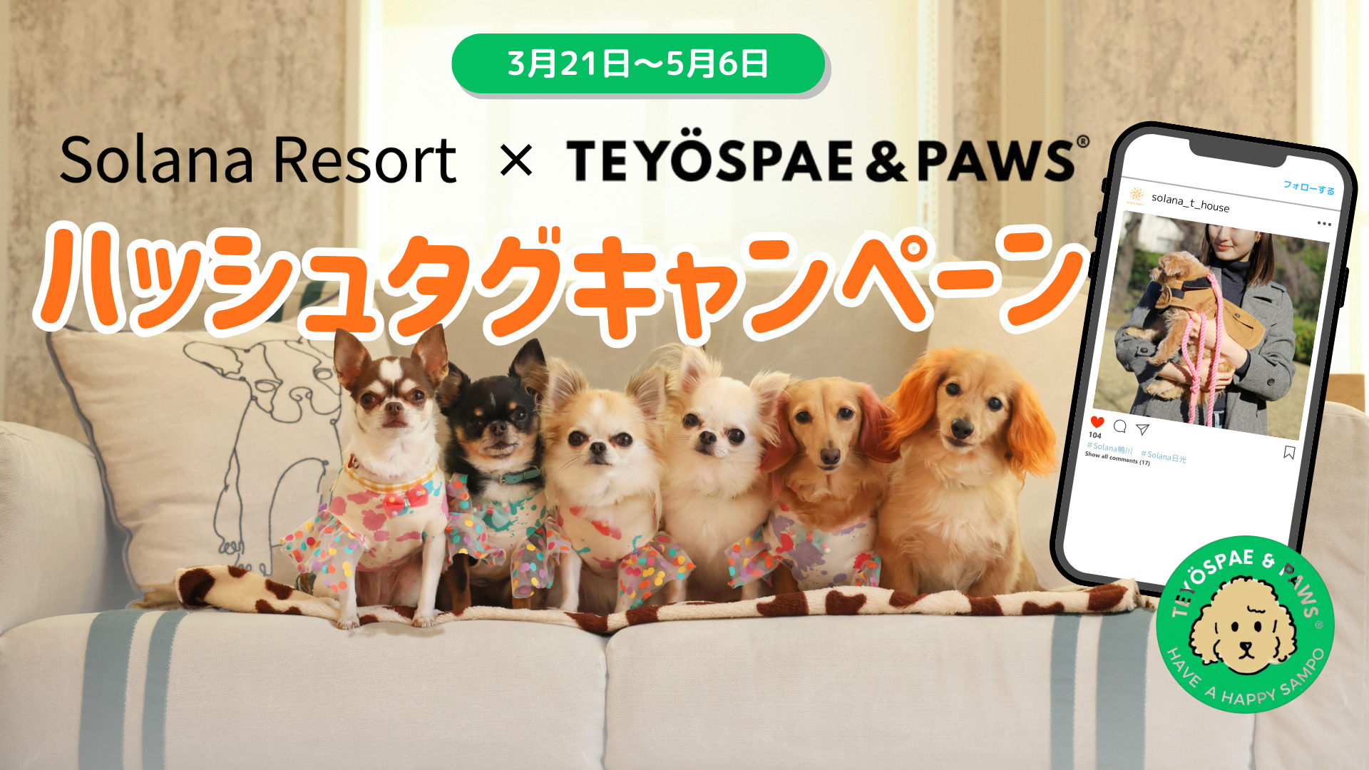 【Solana Resort × TEYÖSPAE & PAWS】コラボ企画ハッシュタグキャンペーン開催！🐶✨