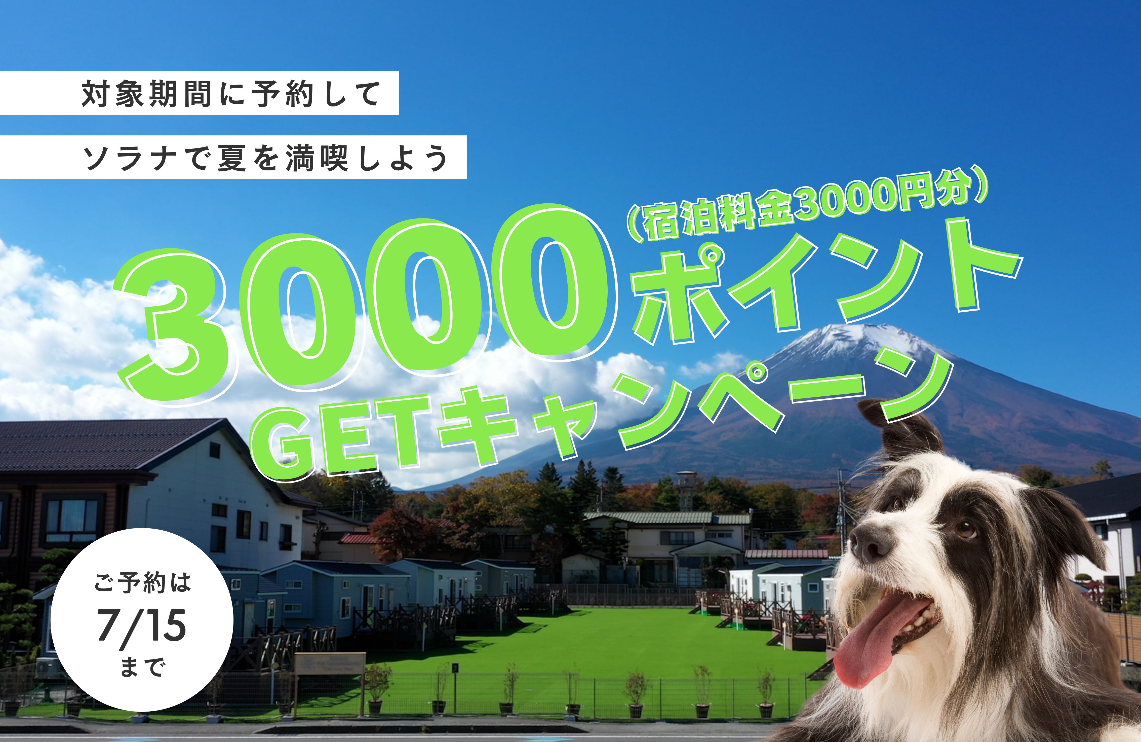 3000ポイントGETキャンペーンについて