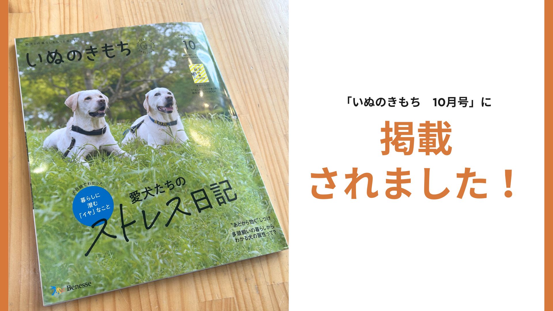 いぬのきもち10月号に掲載されました！