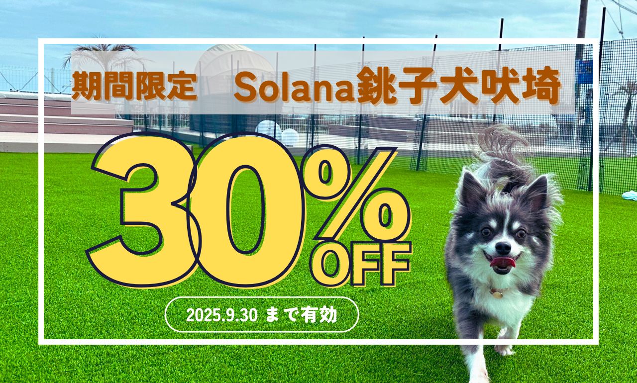 朝日と愛犬と。特別な犬吠埼ステイ30％OFF！